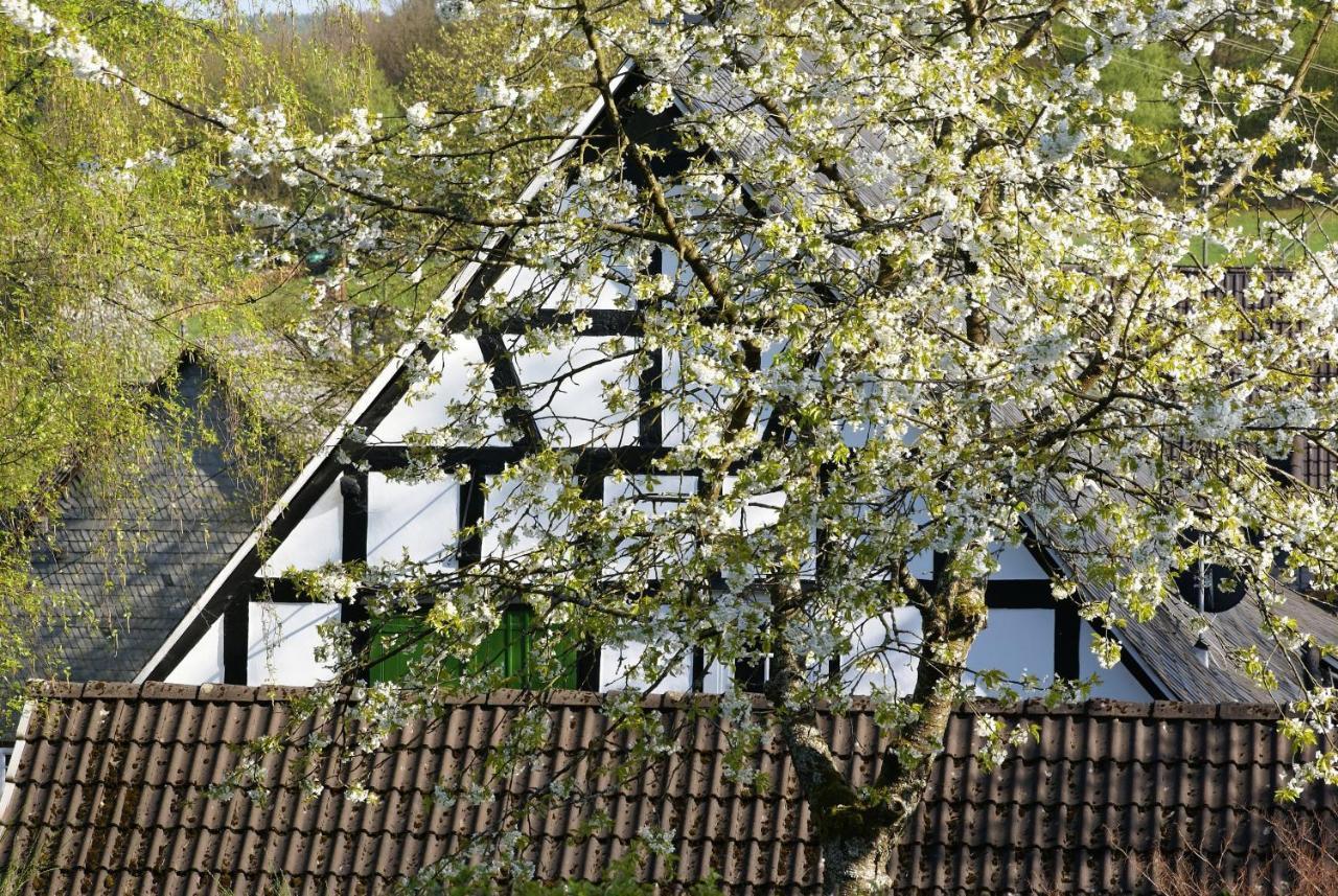 Gasthof Schumacher Hotel Garni Freudenberg (North Rhine-Westphalia) Exterior foto